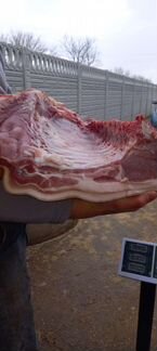 Домашнее мясо свинины (Подробности в описание)