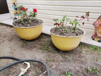 Казан чугунный