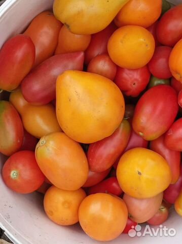 Помидоры свежие