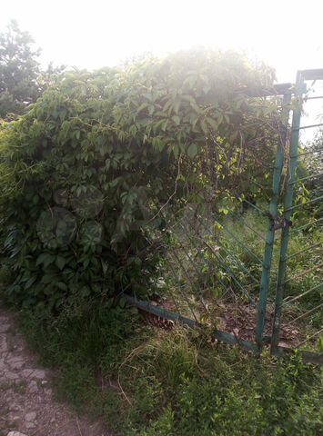 Дача 21 м² на участке 4 сот.