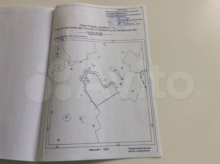 Участок 5,1 га (СНТ, ДНП)