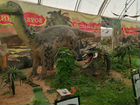 Продам выставку динозавров