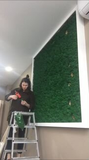 Фитопанно. Фитостена/ стена со мхом