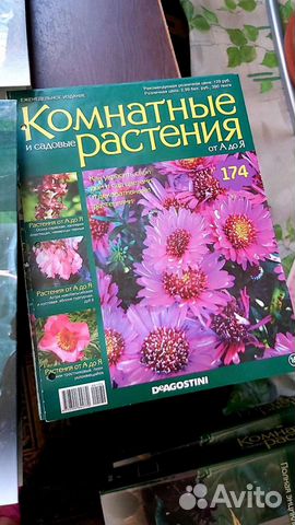 Журналы комнатные растения