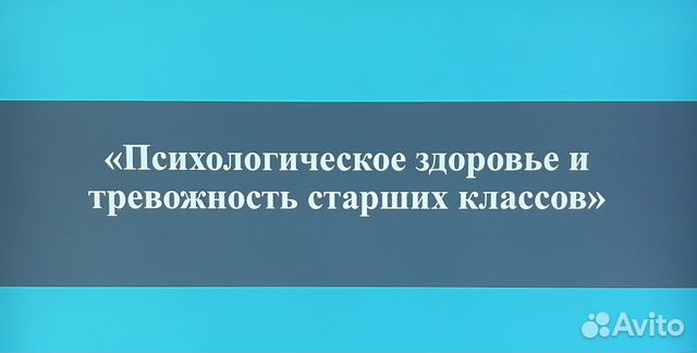 Индивидуальный проект 10-11 класс купить в Москве | Хобби и отдых | Авито