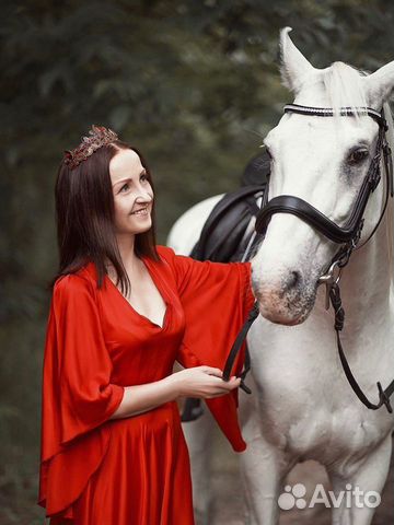 Прокат лошадей