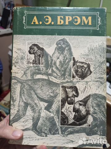 Жизнь животных. А.Э.Брем