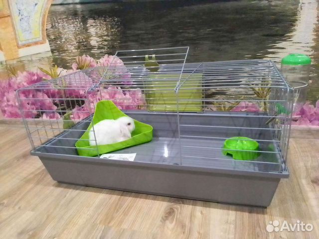 Клетка новая для грызунов, 80/45 и 70/40см