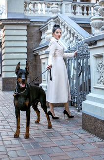 Собака для фотосессий