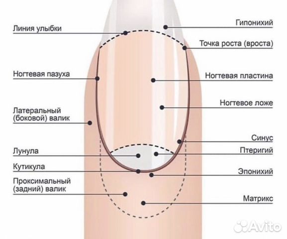 Гипонихий как убрать