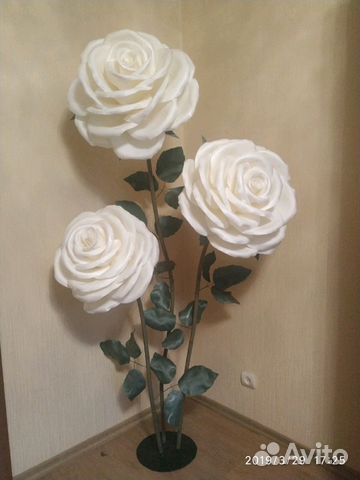 Ростовые цветы Роза