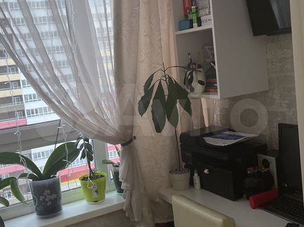 Квартира-студия, 31 м², 10/17 эт.