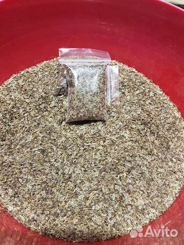 Семена укропа