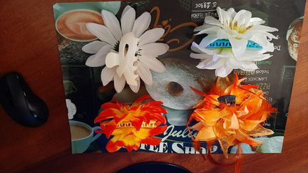 Заколки-крабики и резинки-зажимы в форме цветов