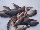 Зимняя рыбалка объявление продам