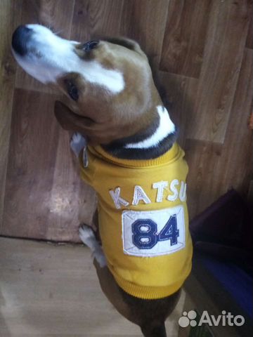 Курточка для собаки