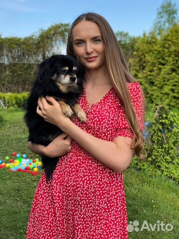 Передержка животных