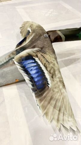 Чучела. Утка флюгер для охоты