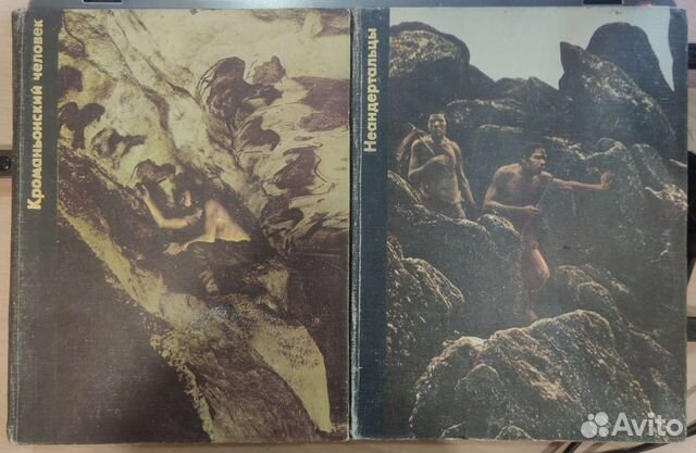 Неандертальцы Кроманьонский человек лот