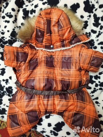 Зимний комбинезон для маленьких собак