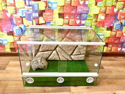 Террариум / Бородатая агама / Змея / Эублефар