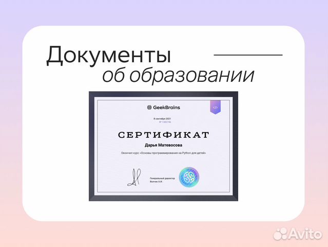 Веб-разработка