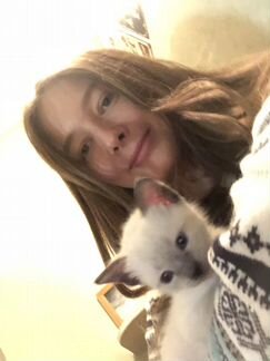 Передержка животных