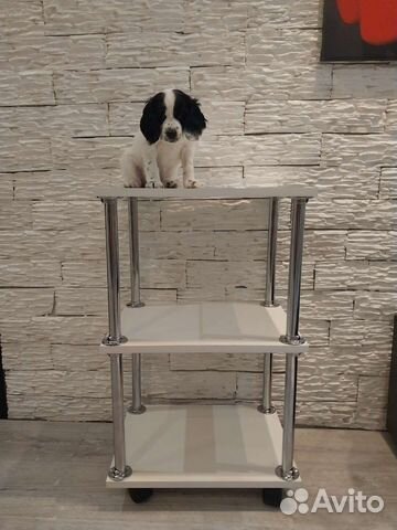 Тележка косметологическая/журнальный столик