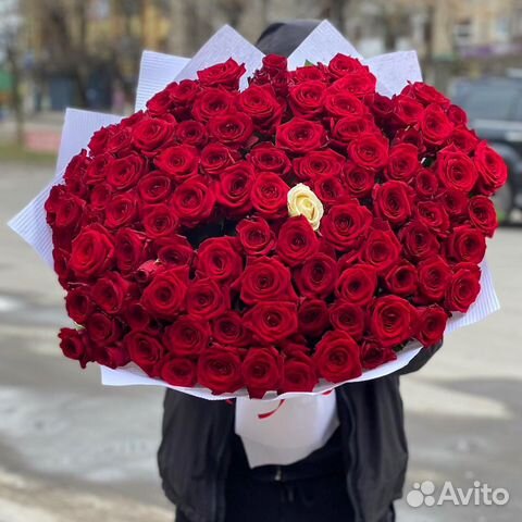 Букет 101 Роза 51 201 Роза Цветы доставка