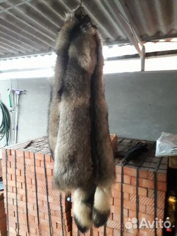 Выделка и покраска шкур