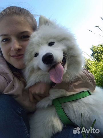 Выгул/няня для собак