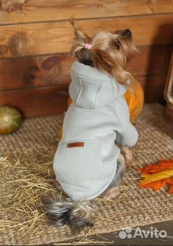 Толстовка для собаки. Размер S