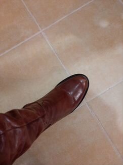 Сапоги осень/весна