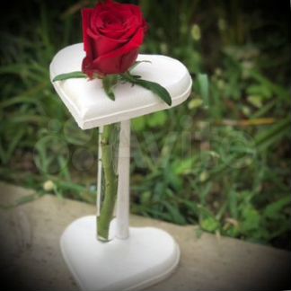 Розочка в пробирке