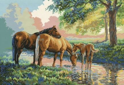 Схема для вышивки с нитками