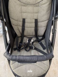 Коляска Joie Litetrax 4 олив цвет