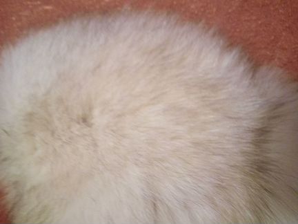 Шапка песцовая