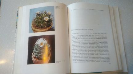 Книги про кактусы и суккуленты