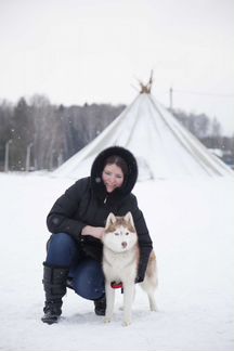 Главный бухгалтер