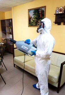 Уничтожение клопов, тараканов, блох, грызунов