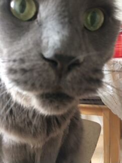 Виниловые диски середина 70-х -80-е гг (30 шт.)