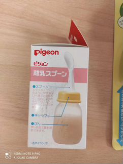 Pigeon