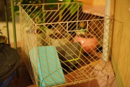 Zara home корзина