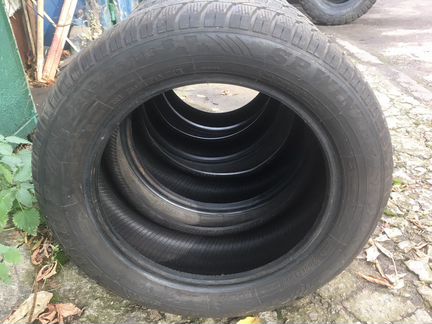 Dunlop sp winter sport 4d 205-55-16